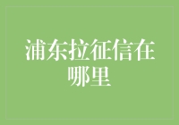 浦东拉征信：从零到信用英雄的不凡之路