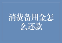 最新的消费备用金还款指南：让你的钱包从崩溃边缘重新崛起