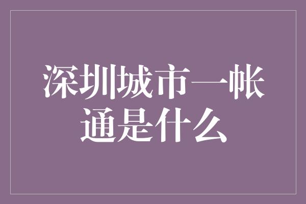 深圳城市一帐通是什么