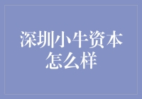 深圳小牛资本的小牛车：从绿源到小牛，从电驴到资本巨兽？