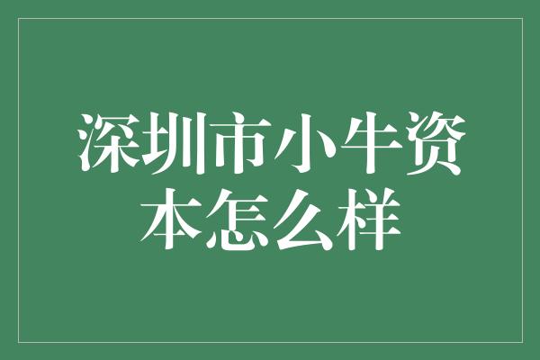 深圳市小牛资本怎么样