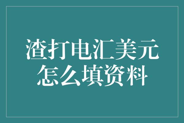 渣打电汇美元怎么填资料