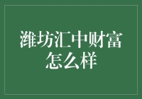 如何看待潍坊汇中的投资机遇？