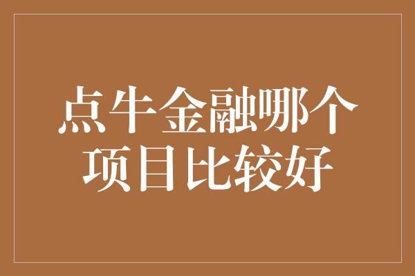 点牛金融哪个项目比较好