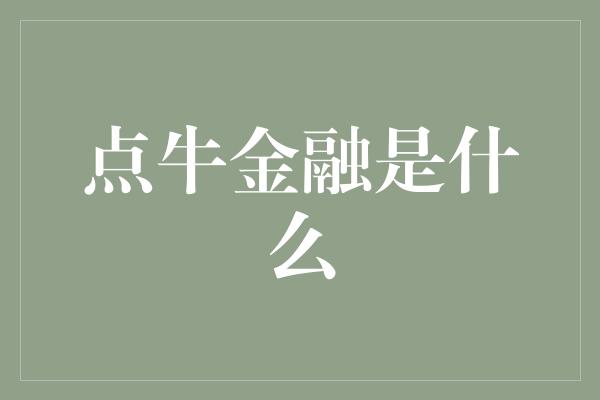 点牛金融是什么