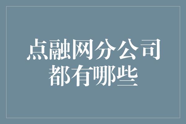 点融网分公司都有哪些