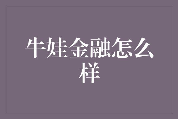 牛娃金融怎么样