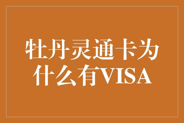 牡丹灵通卡为什么有VISA