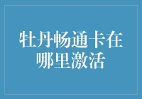 激活牡丹畅通卡：一场银行卡与梦想的奇妙冒险