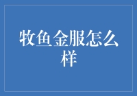 牧鱼金服：从概念到实践的金融科技革新者