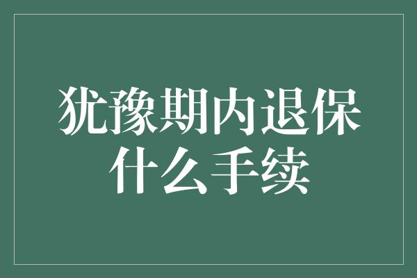 犹豫期内退保什么手续