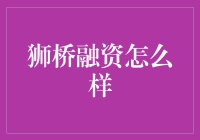 狮桥融资：助力中小企业腾飞的隐形翅膀