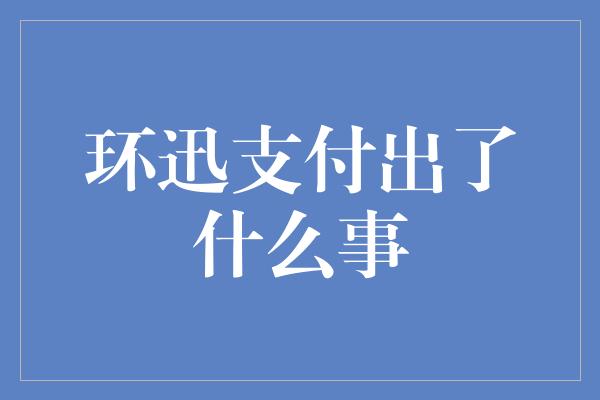 环迅支付出了什么事