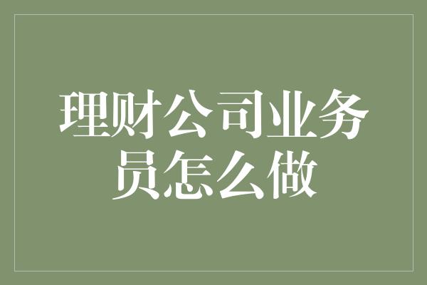 理财公司业务员怎么做