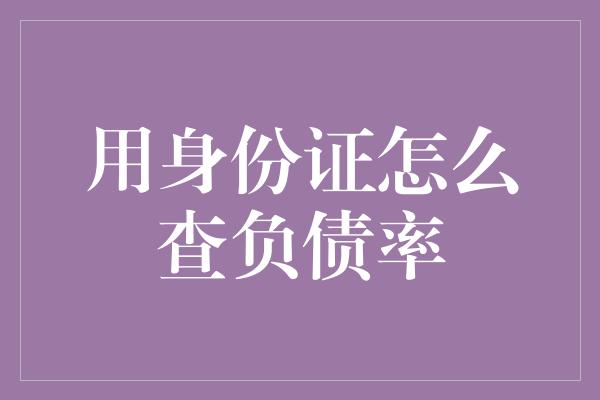 用身份证怎么查负债率