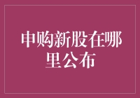 新股申购信息查询全攻略：从理论到实操的全面解析