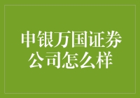 申银万国证券公司：金融服务的领跑者还是追随者？