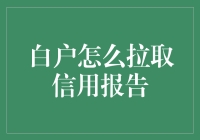 白户如何有效拉取个人信用报告：一份全面指南