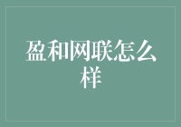 盈和网联：创新驱动的互联网支付解决方案提供商