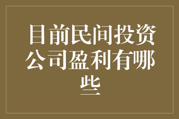 目前民间投资公司盈利有哪些