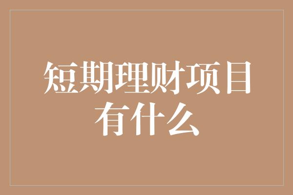 短期理财项目有什么