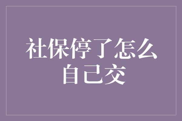 社保停了怎么自己交