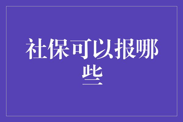 社保可以报哪些