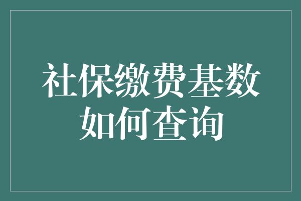 社保缴费基数如何查询