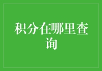 积分查询：掌握积分的秘密与技巧