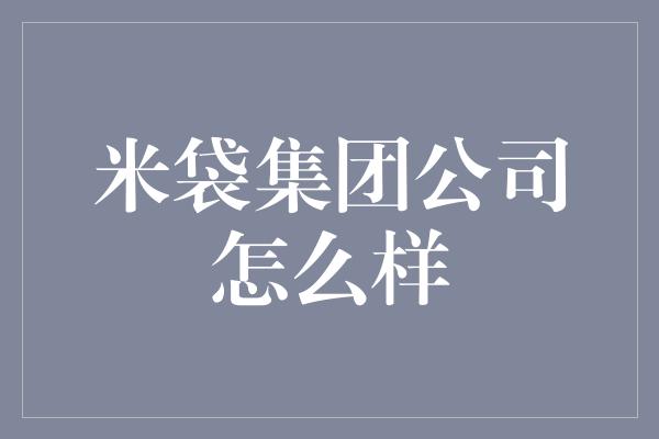 米袋集团公司怎么样