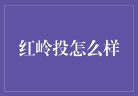 红岭创投：互联网金融平台的探索与挑战