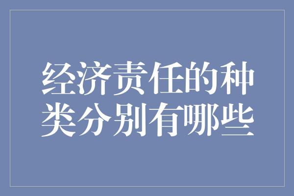 经济责任的种类分别有哪些