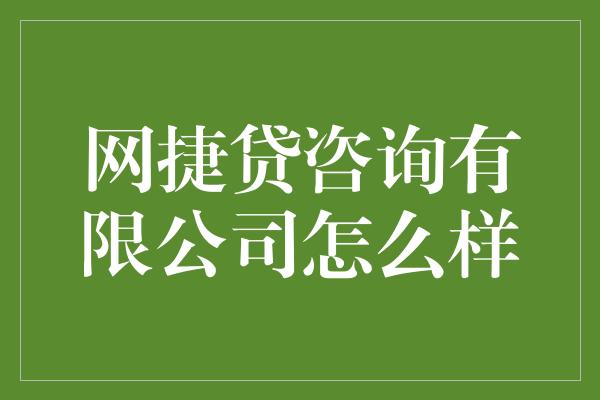 网捷贷咨询有限公司怎么样