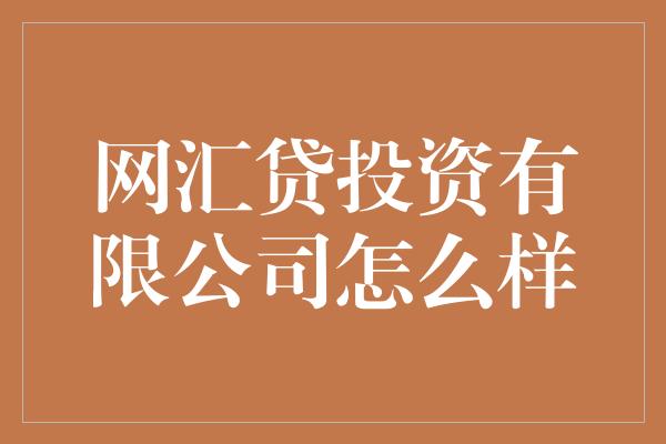 网汇贷投资有限公司怎么样