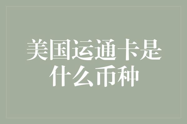 美国运通卡是什么币种