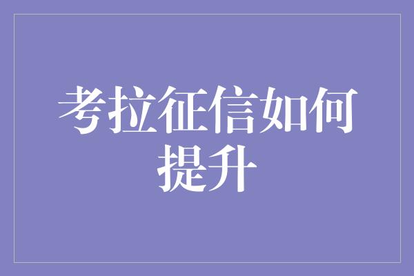 考拉征信如何提升