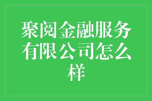 聚阅金融服务有限公司怎么样