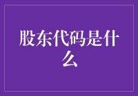 股东代码是什么？深度解析股东身份识别工具