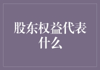 股东权益：企业价值的晴雨表与决策的风向标