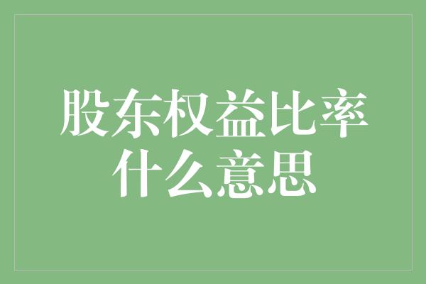 股东权益比率什么意思