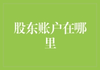 识别股东账户：一个会计视角下的实践指南