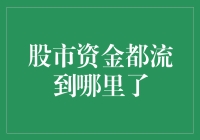 股市资金流向何方？揭示神秘的投资动向！