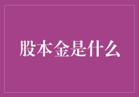 股本金：企业融资的基石与风险的试金石