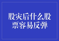 【股灾后如何选择反弹潜力股？】