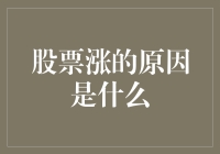 揭秘股票上涨背后的真正原因：理性与非理性因素交织下的市场现象