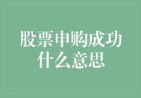 股票申购成功：一场现代投资者的盛宴