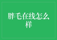 胖毛在线：你的理财小帮手？