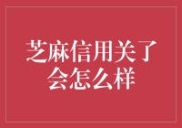 芝麻信用关了会怎样：信用社会中个人信用体系的反思与展望