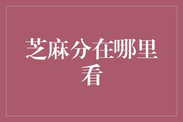 芝麻分在哪里看