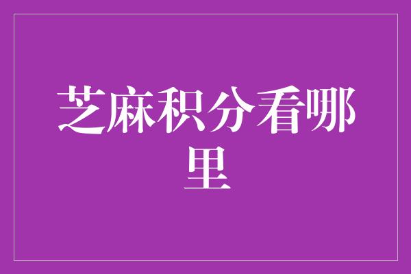 芝麻积分看哪里